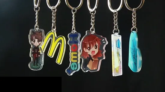 Porte-clés personnalisé en plastique pour Album Photo, imprimé Laser 3D Kawaii, mignon, dessin animé, breloques en acrylique givré, personnalisé